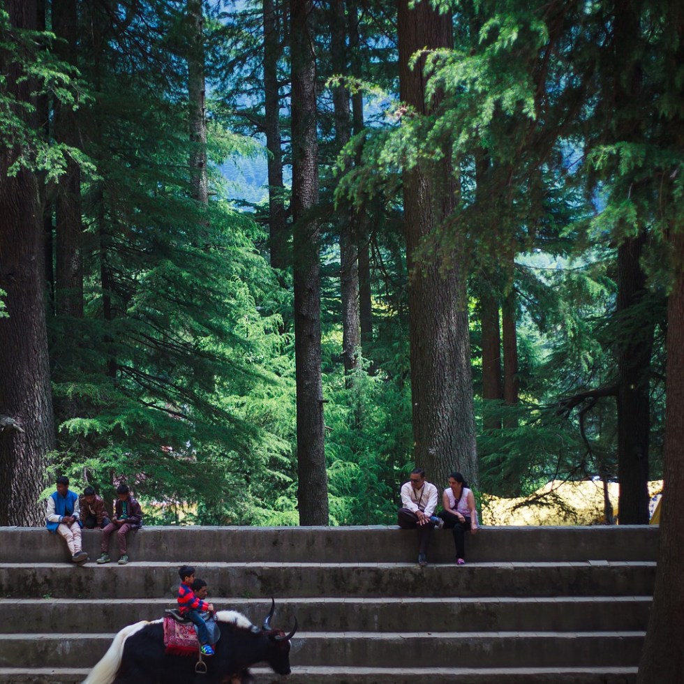 Top Himalayas Manali Hills