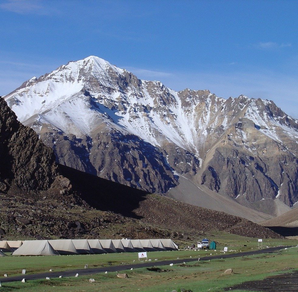 Tree Wood Park Landscape People Yak Manali