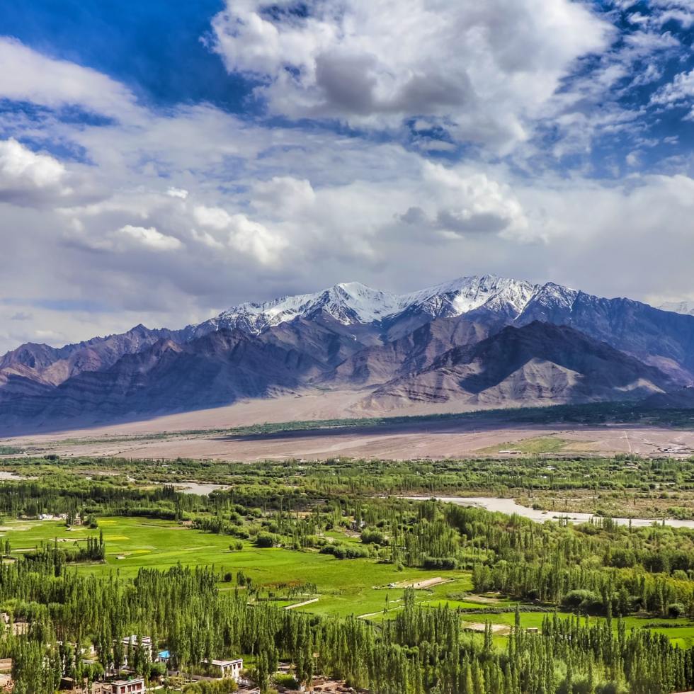 Green Landscape Thiksey Monastery Leh Ladakh Manali Highway