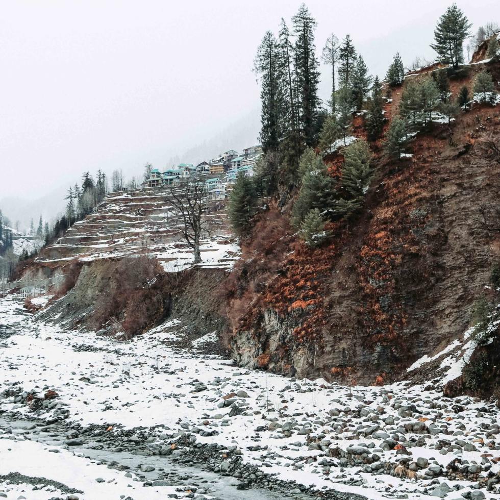White Snow Kullu Manali Nature